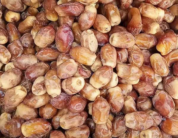 تصویر 1 از خرما زاهدی خشک + قیمت مناسب
